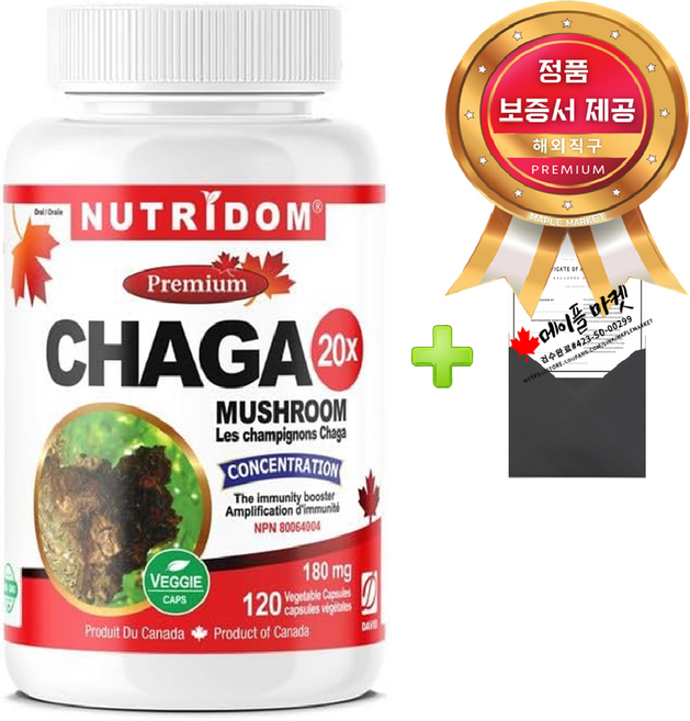 캐나다 차가버섯 20배 농축 360mg 120캡슐+정품보증서 Nutridom BC#1341350, 1개, 120정