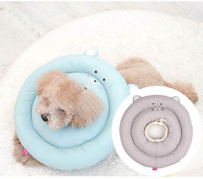 패리스독 베프카라 S~L 강아지 고양이 넥카라 저자극 깔대기 목보호대, 1개