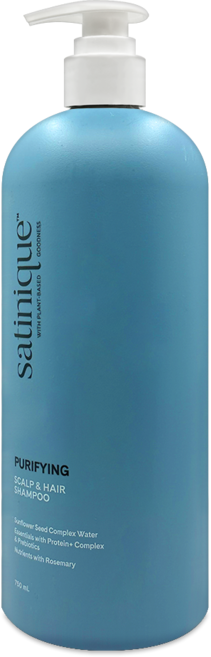 암웨이 새티니크 퓨리파잉 스캘프 앤 헤어 샴푸 두피 각질, 1개, 750ml