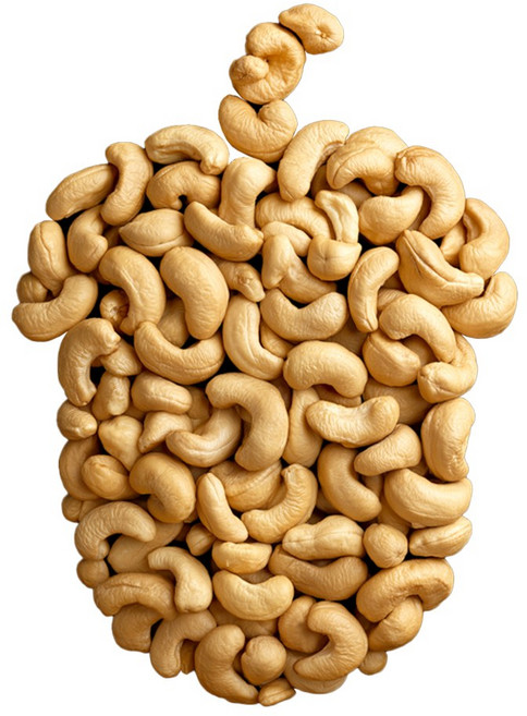 맛을 그리다 볶음 캐슈넛, 1개, 1kg