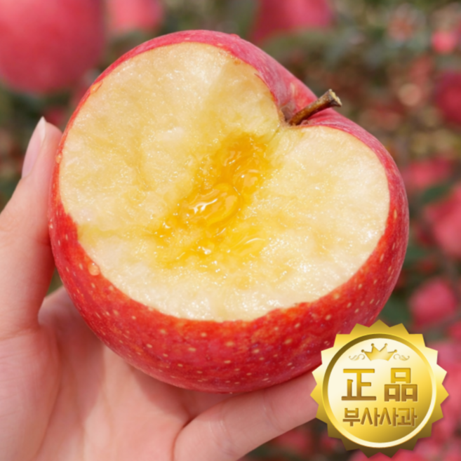 [딱 100박스만] 정성농원 초특가 부사 사과 국내산 사과, 1박스, 5kg 선별포장