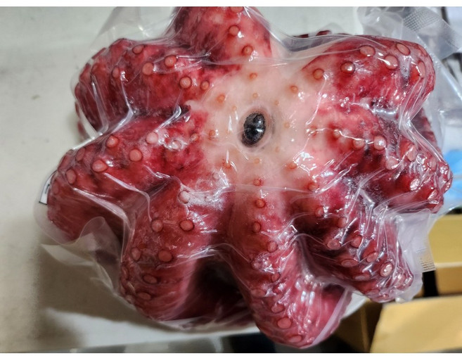 [수다모아]냉동 자숙문어 1마리(1kg 내외), 1마리