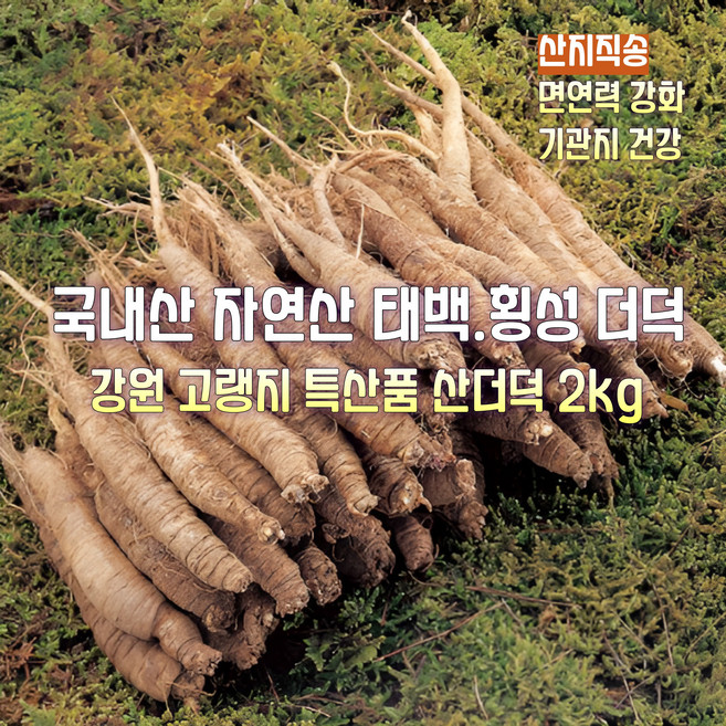 [산지직송] 국내산 자연산 태백. 횡성 고랭지 특상품 토종 품질좋은 햇 산더덕 흙더덕 생더덕 자연재배 선물용 가정용, 1개, 태백. 횡성 고랭지 특상품 토종 햇 산더덕 2kg