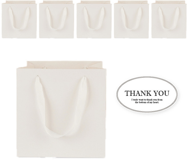 빛공 정사각 고급 미니 선물 쇼핑백 종이가방, 6개, 올화이트