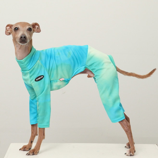 도기스타 이탈리안그레이하운드옷 아이쥐옷 여름 쿨링 올인원, 1개, 민트