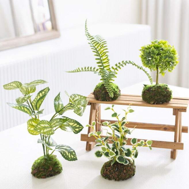 [플라워트리] 로제보스터 페페로미아 파슬리 스킨답서스 이끼볼 조화 네츄럴 식물 조경 테이블 장식 4타입 인테리어, 색상:투톤스킨