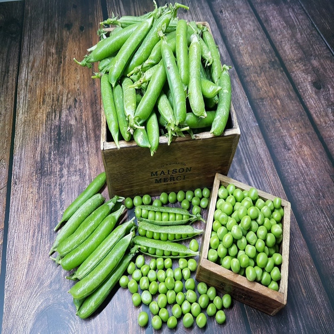 [산지농가직송]충남서산 완두콩 햇 완두콩2kg, 1개, 2kg