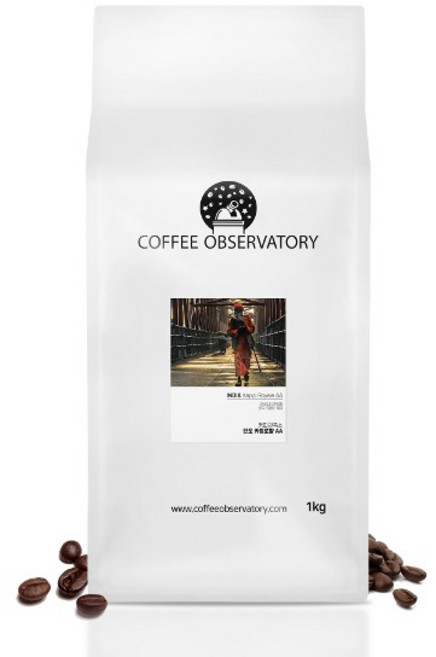 인도 카피로얄 AA 1kg 원두커피 로부스타, 프렌치프레스, 프렌치프레스, 1개