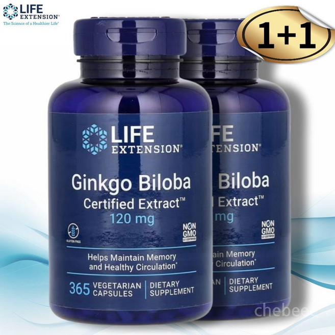(2병)(대용량)식물성 기억력개선 치매예방영양제 혈액순환제 혈행개선제 정맥순환개선제 징코 빌로바 120mg 365캡슐, 365정, 2개
