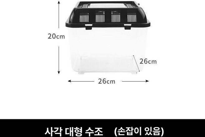 대형 곤충 채집통 사육통 직사각형 보관 관찰 사슴벌레 케이스 모양, 대형 정사각형, 1개, 1L