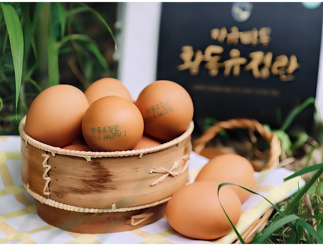 [난각 1번] 오늘 낳은 자유방목 유황먹인 무항생제 황동유정란, 60구, 1개