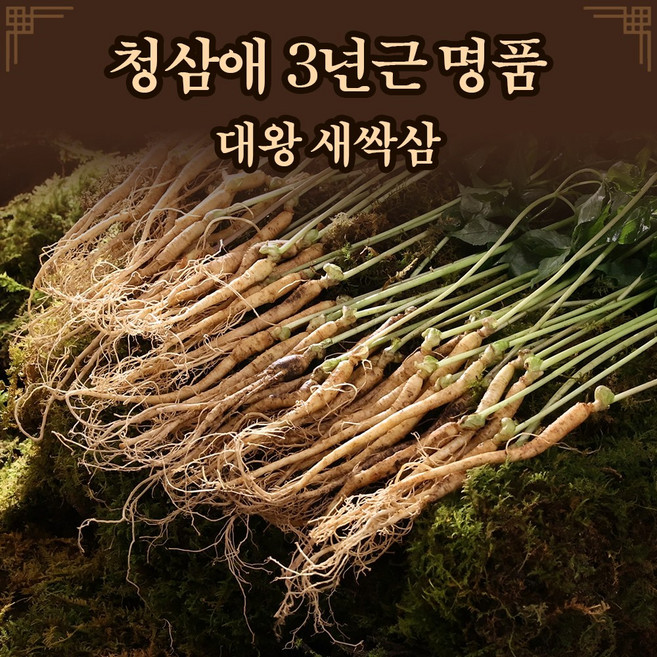 [TV홈쇼핑정품 아이넷] 하루 한뿌리 청삼애 3년근 명품 대왕 새싹삼 1세트(50뿌리), 50개, 1.2g