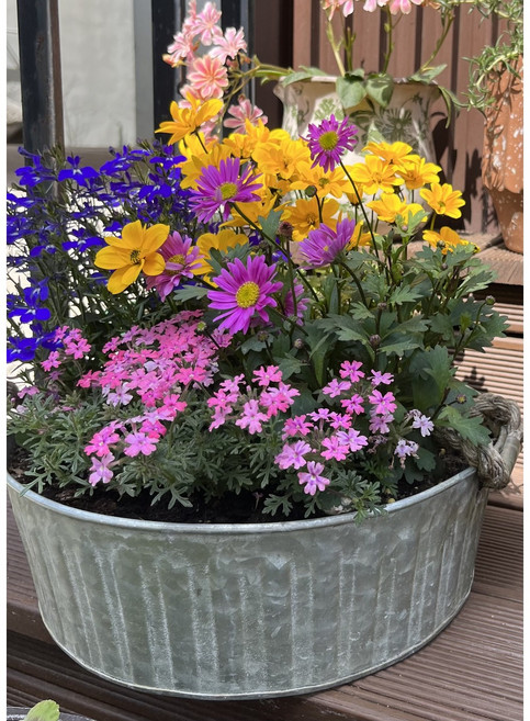 빈티지 레트로 양동이 바구니 틴 바스켓 화분 분갈이, 대, 1개