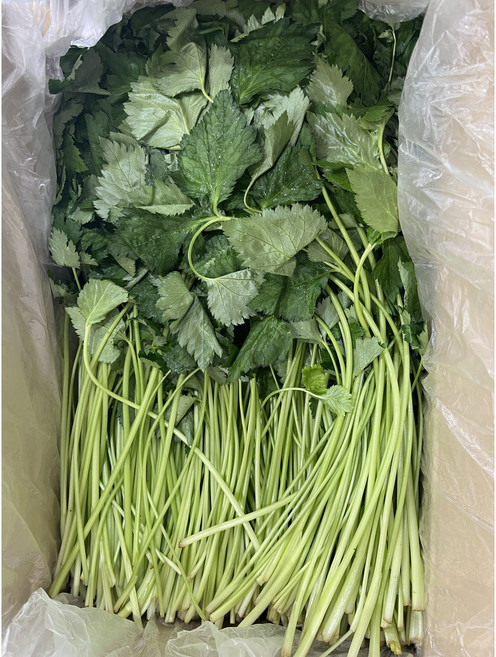 [봄향기 가득] 향긋한 봄나물 참나물, 1박스, 1kg