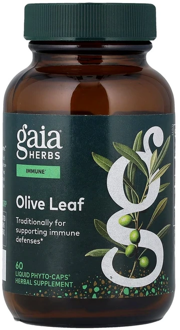 가이아허브 올리브 잎 식물성 액상 Phyto-Caps 60정, GAI39940, 1개 - 쿠팡
