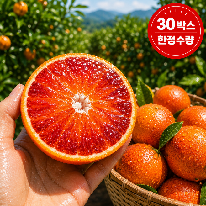 (jwelllife) 제주 농부직배송 산지직송 소과 고급 블러드오렌지, 1개, 3kg 소과(20~33과)