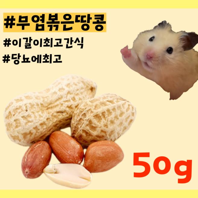 당뇨예방 무염 햄스터 기니피그 친칠라 이갈이 볶은 땅콩 간식, 1개, 50g