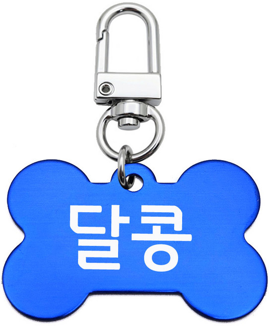 강아지인식표 가볍고 걸기편한 원터치 뼈모양이름표, 1개, 블루
