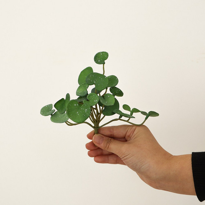 해피인어스 라운드 리프 행잉 조화 실내외겸용 벽걸이 에어플랜트, 1개, 소 (길이 14cm)