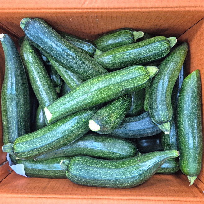 클릭마켓 국내산 못난이 쥬키니호박 10kg 하품, 1박스, 10kg 못난이