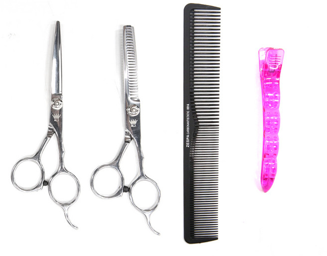 제스파 미용가위세트 가정용 ZP223, 실버, 1개