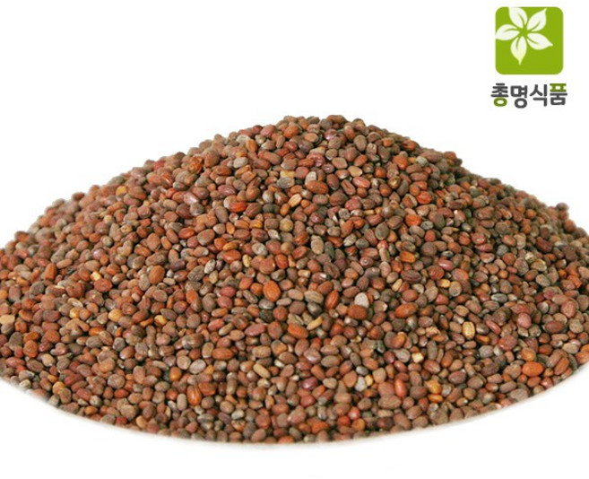 총명식품 국내산 나복자, 600g, 1개