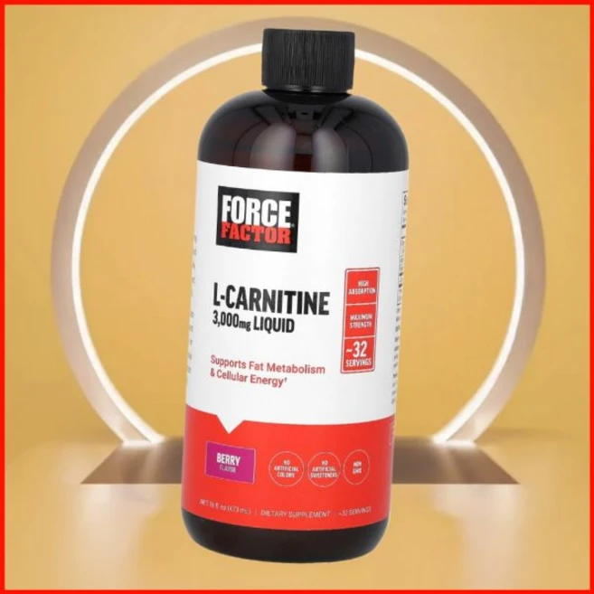 포스팩터 액상 L카르니틴 베리 맛 3000mg 473ml 미국내수 포스 팩터, 포스팩터 액상 L카르니틴 베리 맛 3000mg 473m, 1개 - 쿠팡