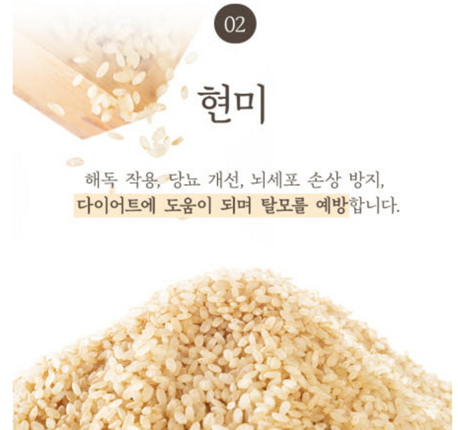 [백쌀시대]2025년 햅쌀 당일도정 현미, 1개, 10kg
