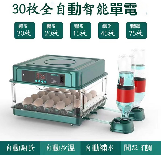 全自動智能孵蛋器 128枚容量 抽屜式孵化箱, 30枚單電【自動上水+自動翻蛋】, 1個
