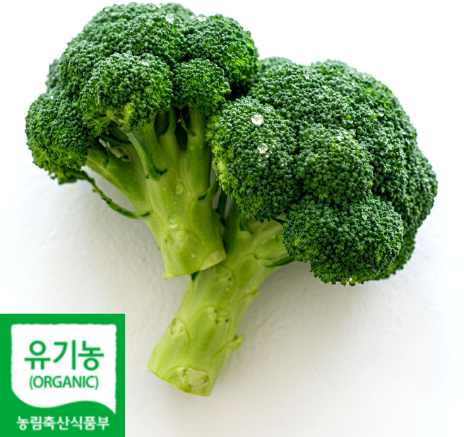 [산지선별] 국내산 유기농 브로콜리 특상, 1박스, 1kg