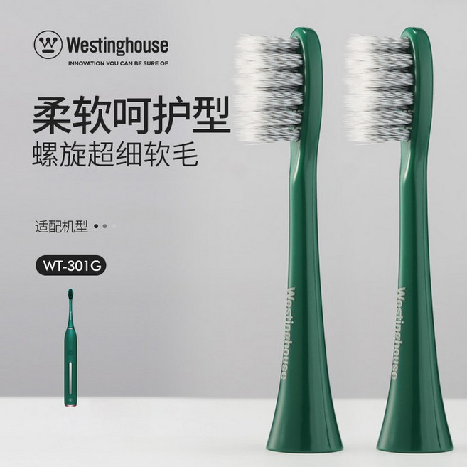 전동 칫솔 헤드 2개 적합한 모델 WT-301G/301F/301K/301GF, 02 Care type WT12