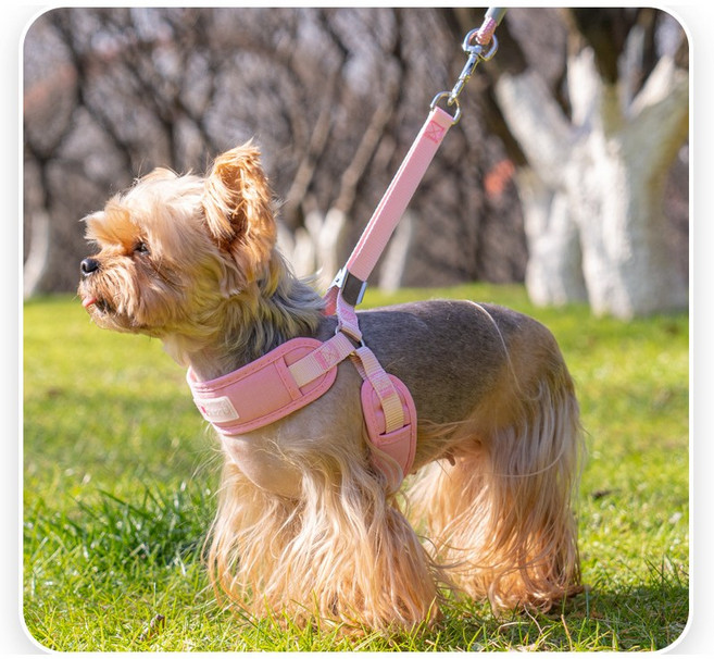 강아지 하네스 리드줄 세트 소형견 통기성 가슴줄 산책용 반려견 흉부줄, 1개, 핑크색