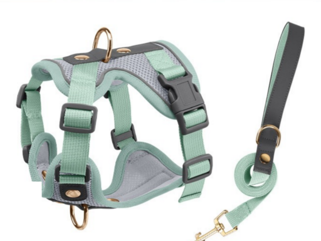 스노우윙 편안한 메쉬 강아지하네스, 스톤 민트그레이