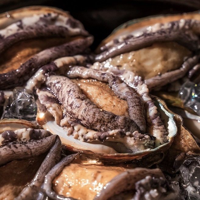 국산 전복 싱싱한 완도 활전복, 1gk(특대 8~9미), 1개