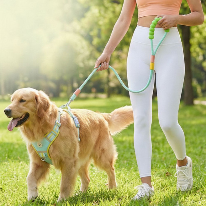 유또 강아지 목줄 러닝 산책 핸즈프리 세트, 1개, 민트