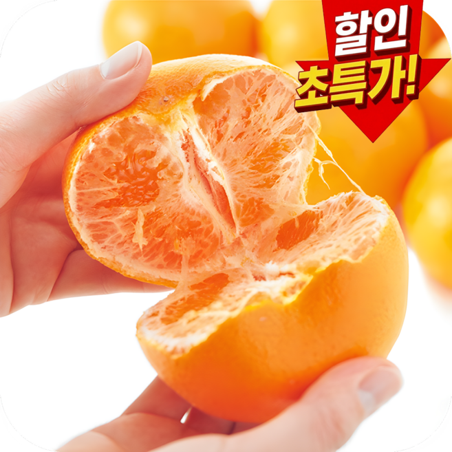 [오늘하루만] 가성비최고 진한단맛 천혜향 초특가할인, 1개, 10kg