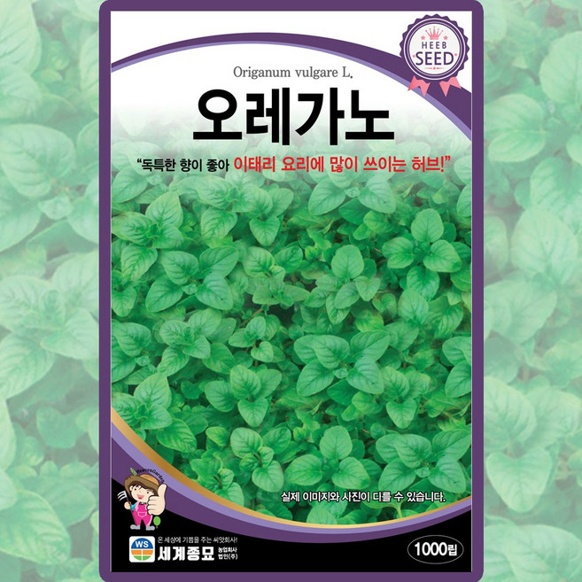 세계종묘 산들마켓 오레가노 씨앗 1000립 오레가노씨 허브 종자, 1개