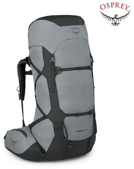 오스프리 에리얼 프로 75L 여성용 대형배낭, ML, Silver Lining