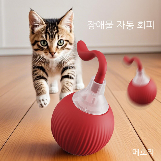 메호라 고양이 자동 회전 꼬리 잡기 놀이 장난간, 1개, 레드