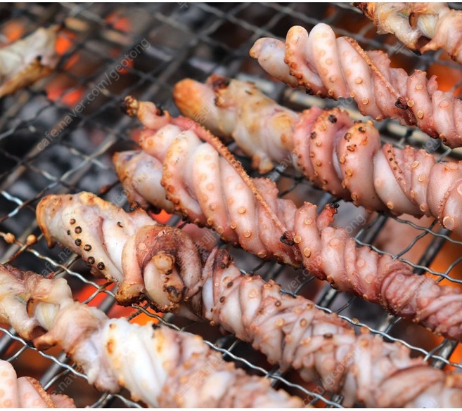 낙지 호롱이 꼬치 양념소스 포함 20-30미 캠핑음식, 1개, 900g(20-30미)