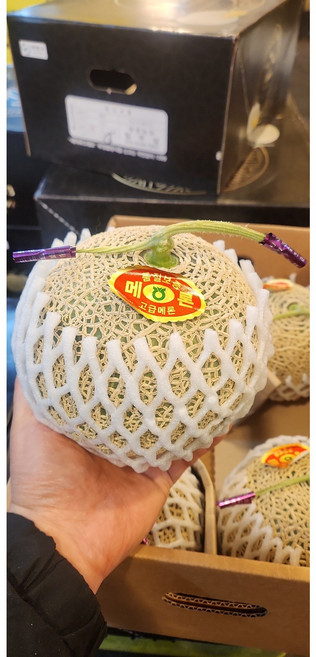 인생 멜론 프리미엄 스페셜 연유맛 K3메론 선물용, 1개, 1.6kg