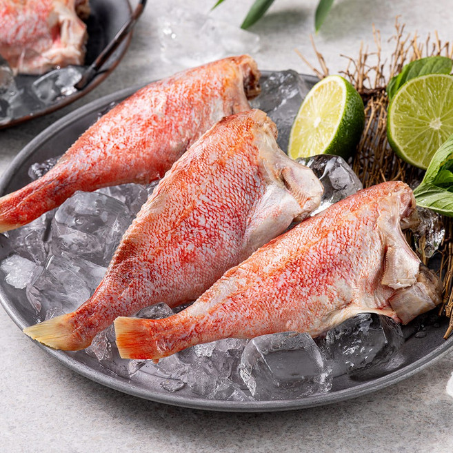손질 냉동 열기 볼락 1kg(8-12미) 외, 1개