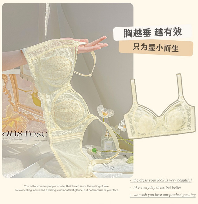 法式蕾絲無鋼圈內衣 大胸顯小 收副乳 防下垂