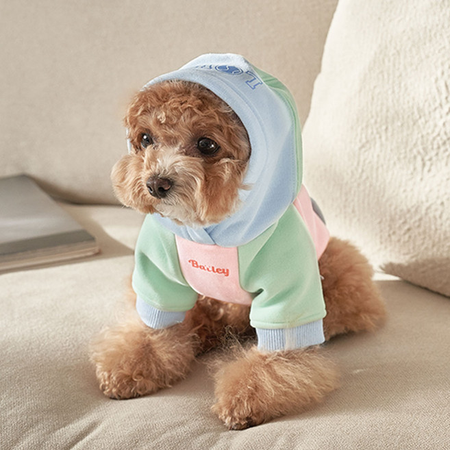 베일리 강아지옷 애견의류 티셔츠 실내복 LOVE 맨투맨 후드 티셔츠, 1개