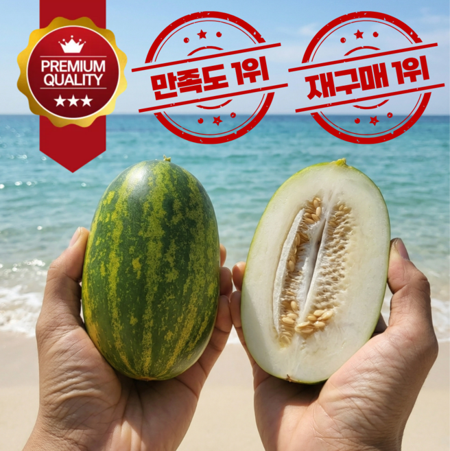 시즌초특가 꿀당도 국내 파파야메론 개구리참외, 1박스, 5kg