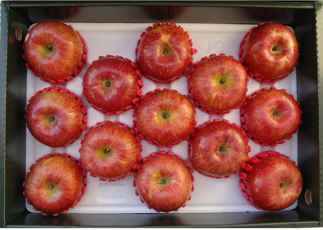 주왕산 털보네 명품 사과선물세트 5kg 부사, 1박스, 5kg(황금사과 15과)