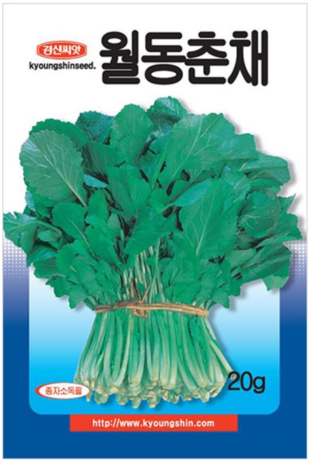 세인화분 월동 춘채 20g - 씨 씨앗 채소 야채 순무유채 삼동초 겨울초, 1개