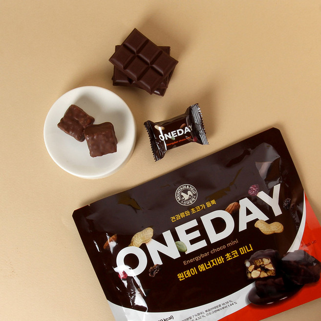 산과들에 원데이 에너지바 초코 미니 200g, 10개
