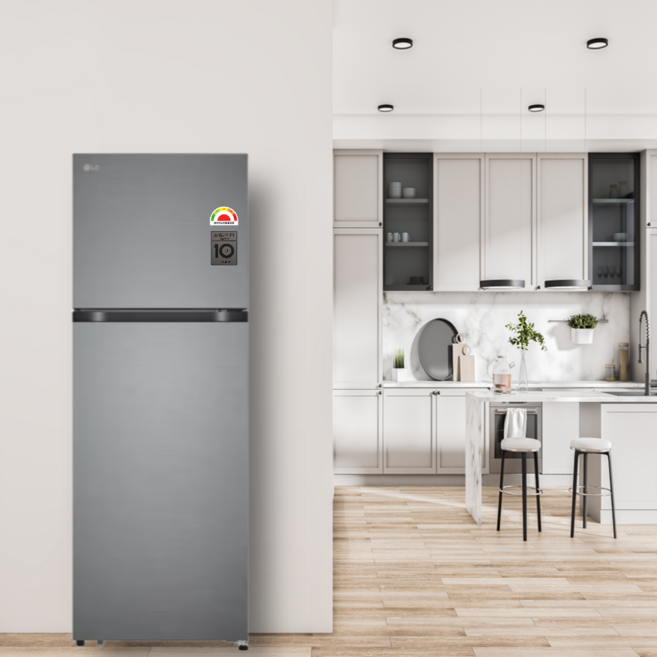 (LG전자) 일반냉장고 2도어 241L (다크그라파이트/B245DS22), B245DS22