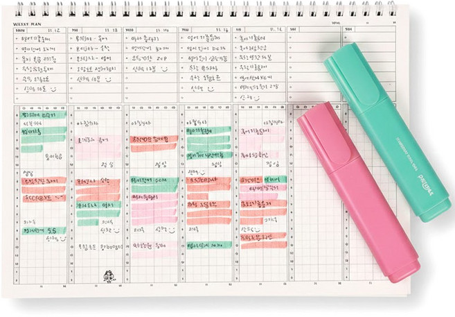 국꿈사 골트랙 플래너 일주일 12시 타임라인 계획 훈련 투약 10분 스터디, 1개, 그린